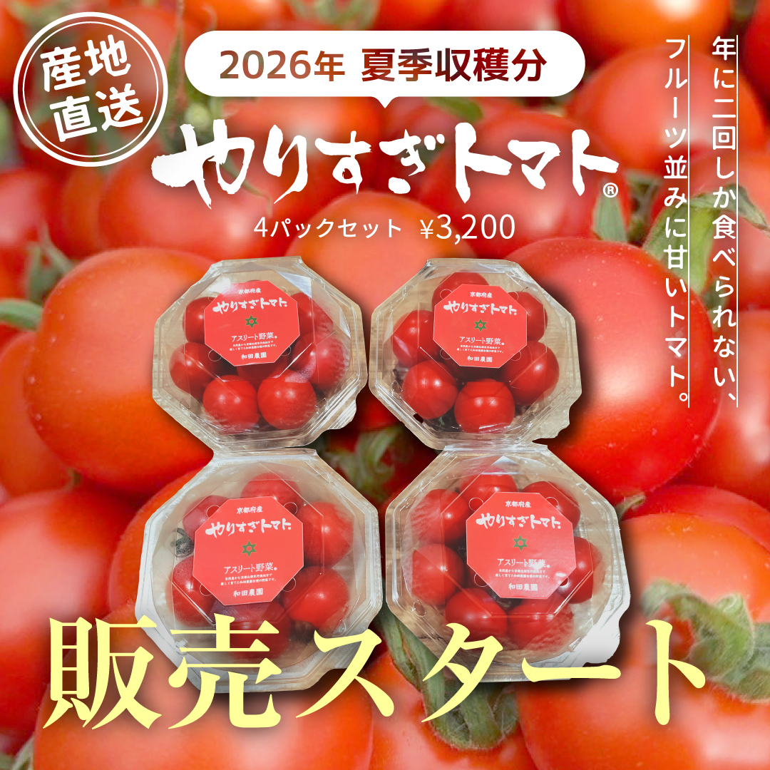 【夏季】やりすぎトマト 4パックセット