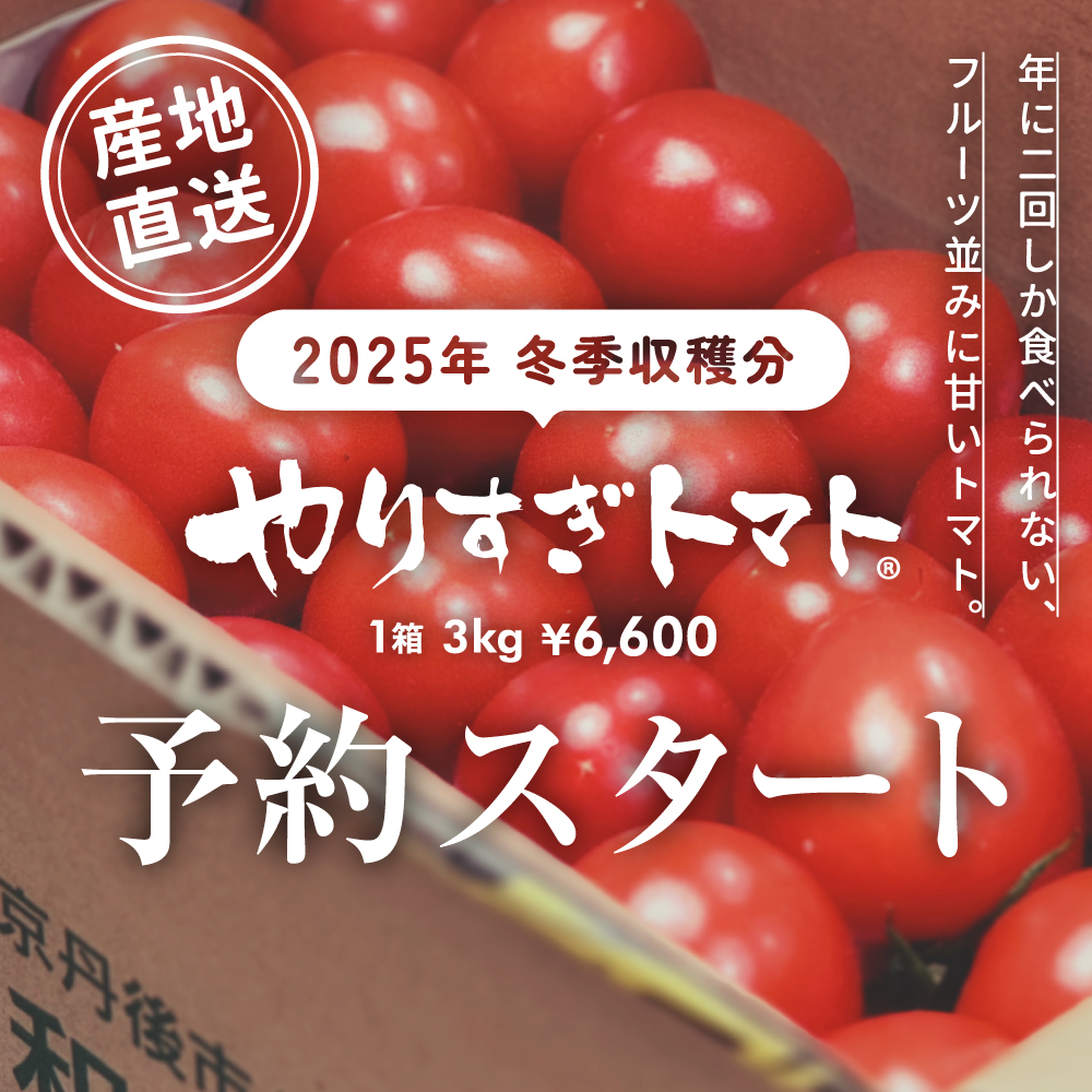 【冬季】やりすぎトマト 1箱 3kg