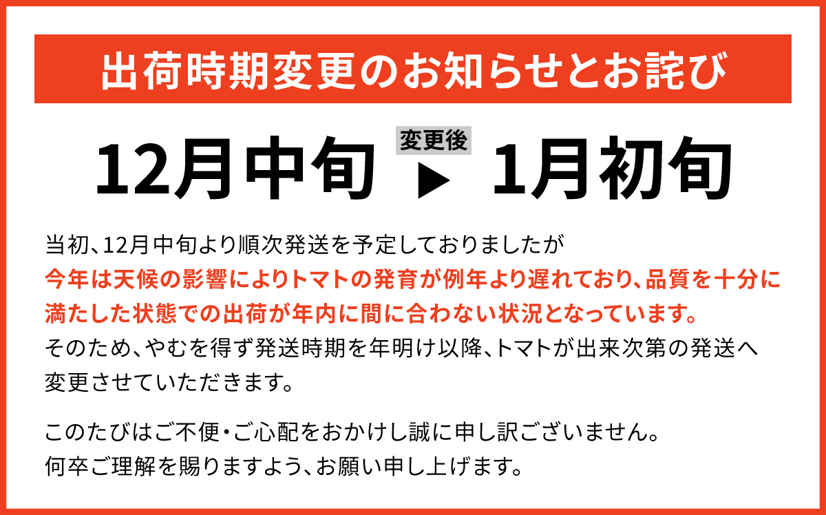 やりすぎトマト配送遅延のお知らせ
