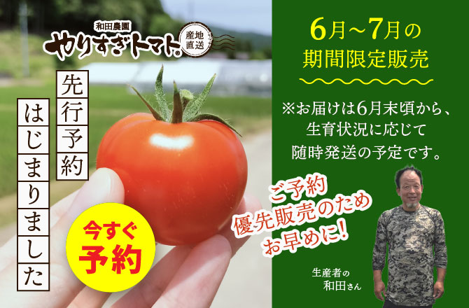 やりすぎトマト2025年夏シーズン予約販売スタート！