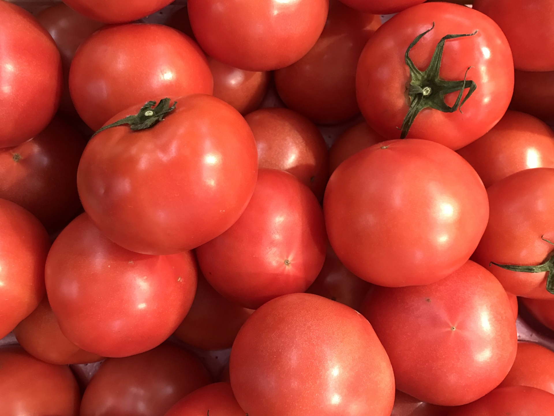 【産地直送】甘くて美味しいトマトを通販で！選び方からおすすめまで