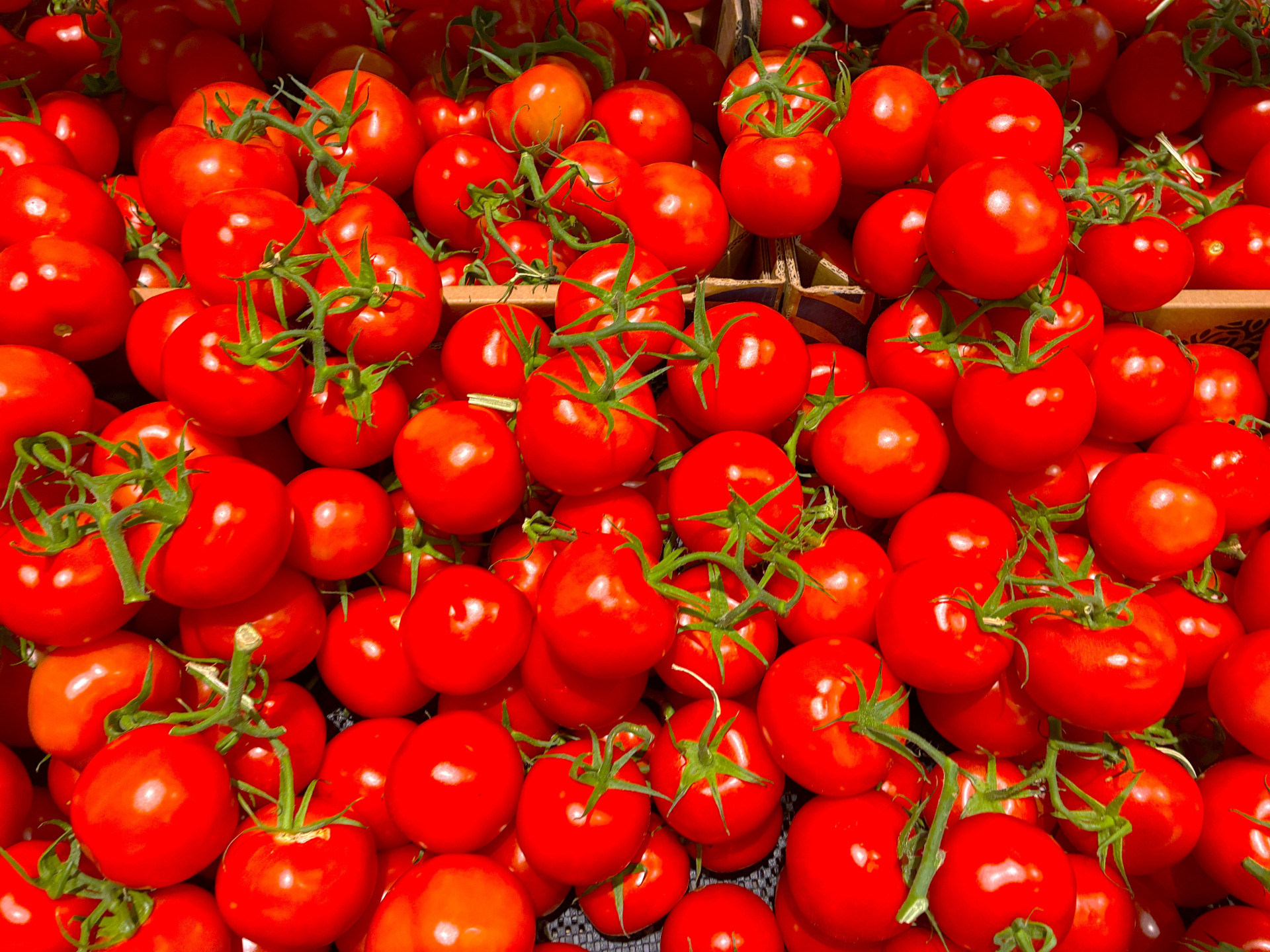 トマトは最強の美容食！リコピン効果で美肌もダイエットも叶える方法